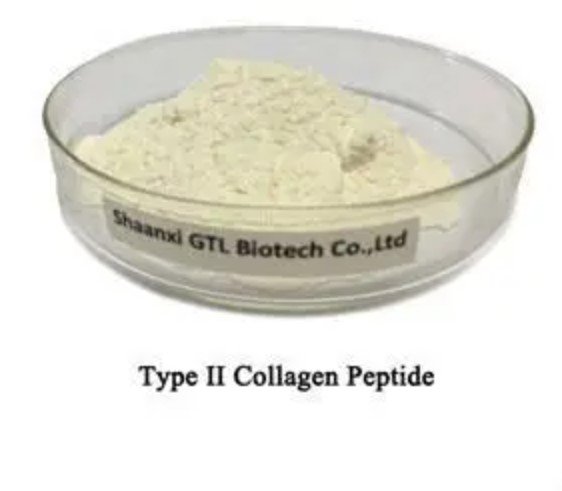 Typ II Kollagen